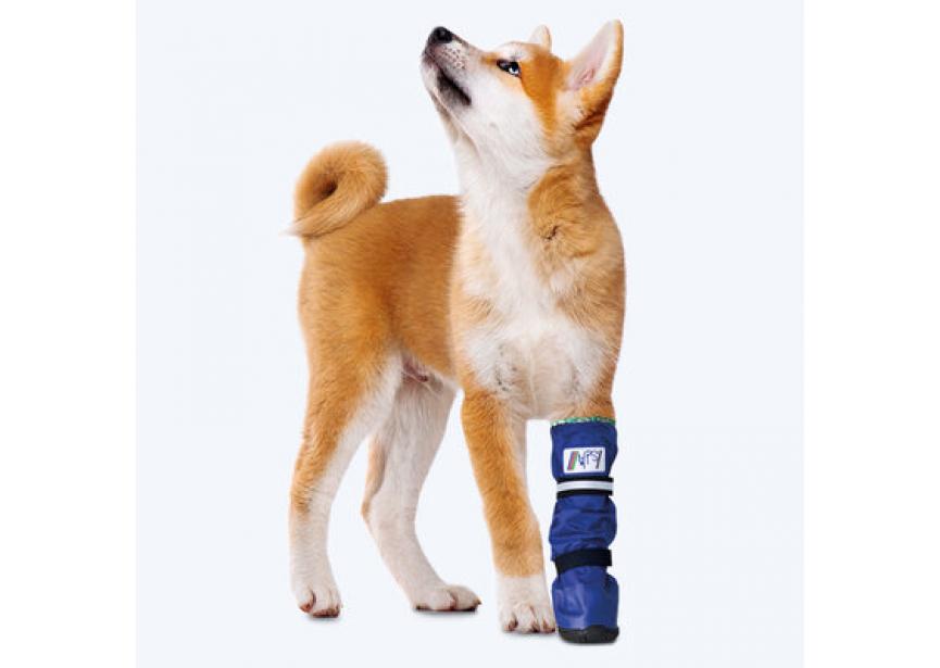 Medical-Pet-Boot-1_