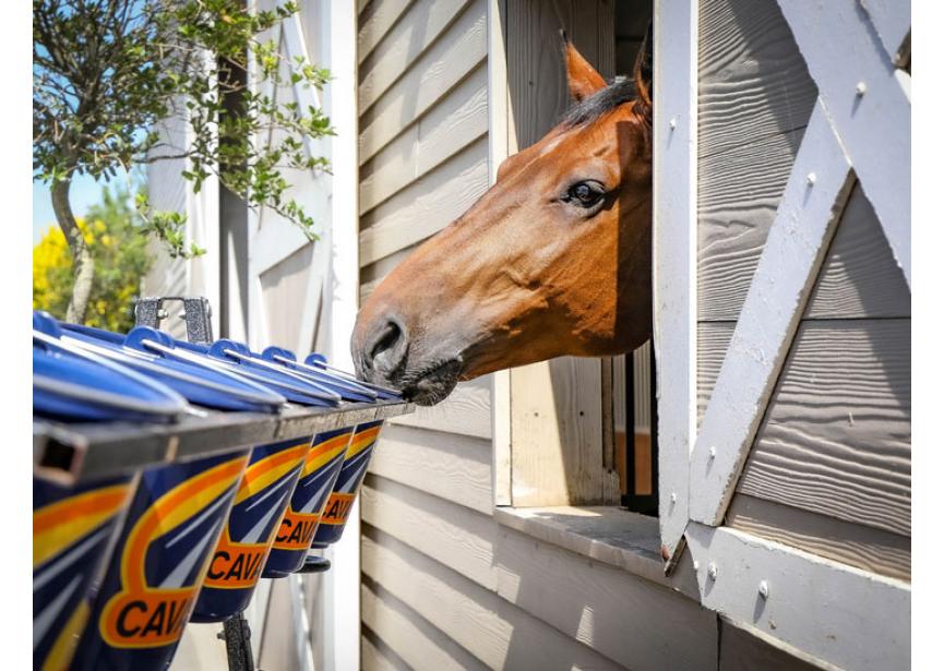 Horse-bucket