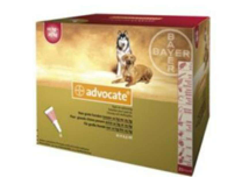 ADVOCATE GH 10-25KG 21P