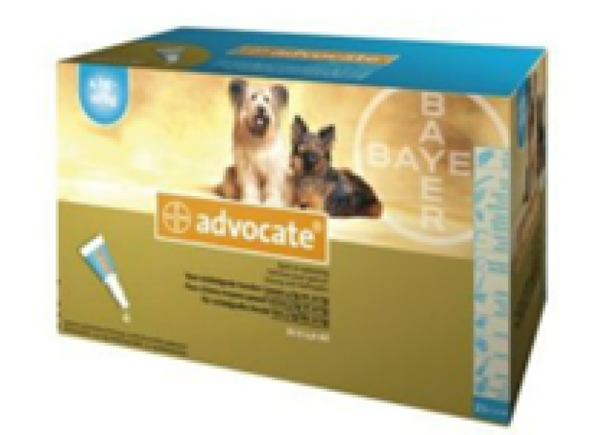 ADVOCATE MGH 4-10KG 21P