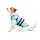 ©-MPS-CIRCLE-OVERVIEW-DRY-COOLING-VEST.DOG-05-V01.2019